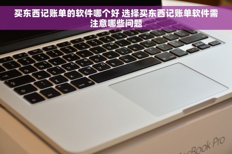 买东西记账单的软件哪个好 选择买东西记账单软件需注意哪些问题