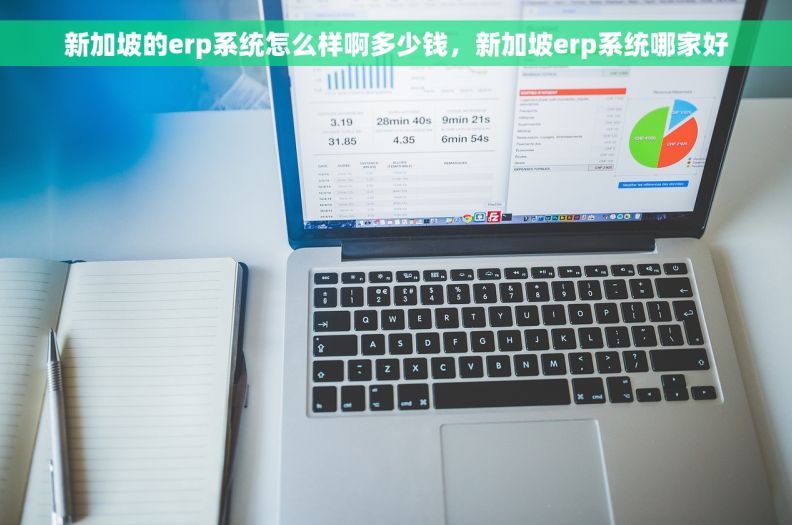 新加坡的erp系统怎么样啊多少钱，新加坡erp系统哪家好