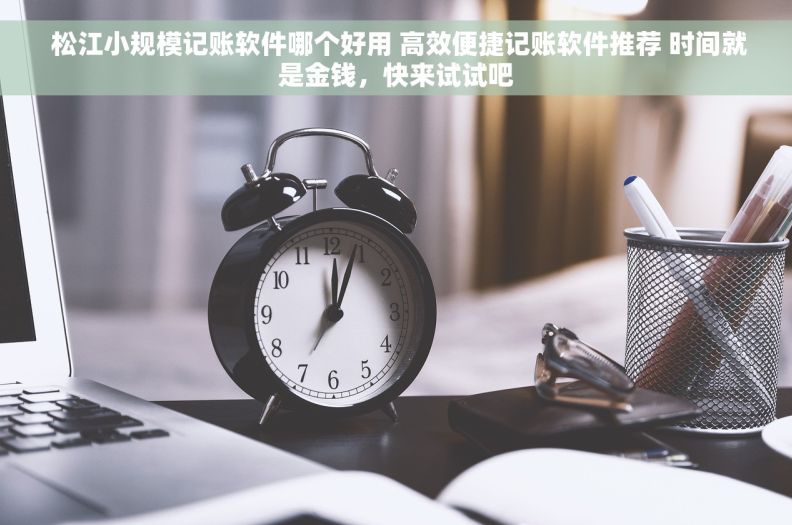  松江小规模记账软件哪个好用 高效便捷记账软件推荐 时间就是金钱，快来试试吧