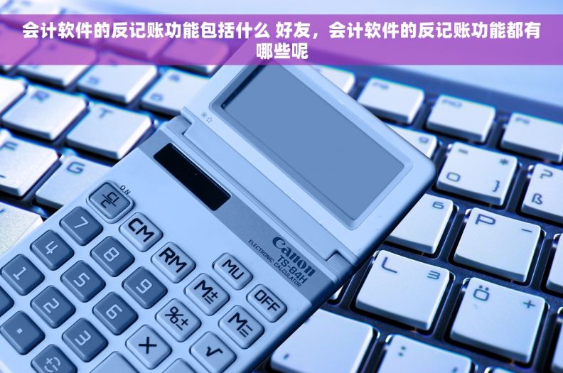 会计软件的反记账功能包括什么 好友，会计软件的反记账功能都有哪些呢