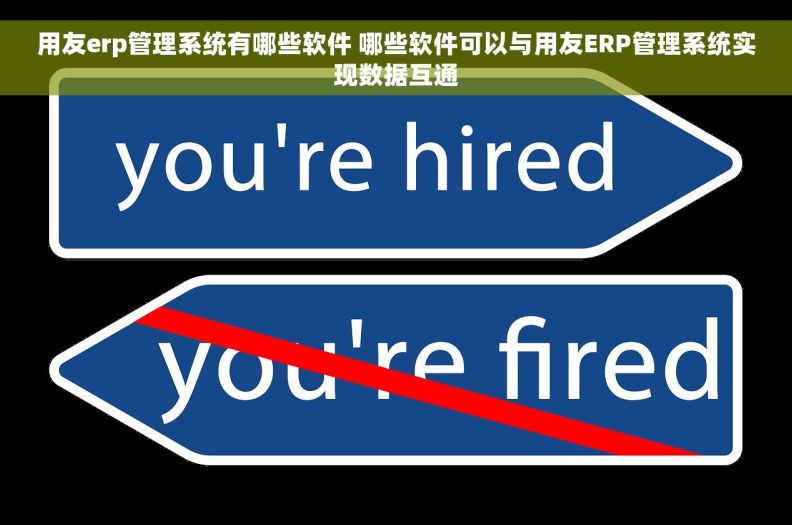用友erp管理系统有哪些软件 哪些软件可以与用友ERP管理系统实现数据互通