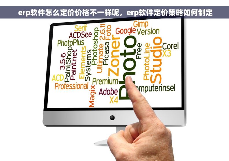  erp软件怎么定价价格不一样呢，erp软件定价策略如何制定