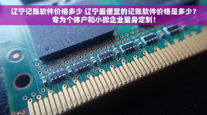 辽宁记账软件价格多少 辽宁最便宜的记账软件价格是多少？专为个体户和小微企业量身定制！