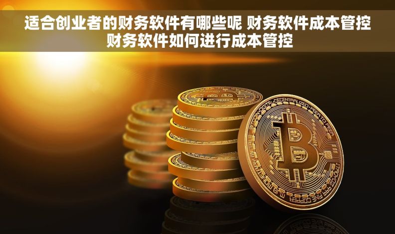 适合创业者的财务软件有哪些呢 财务软件成本管控 财务软件如何进行成本管控