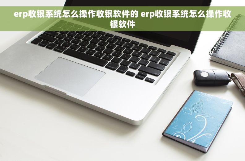 erp收银系统怎么操作收银软件的 erp收银系统怎么操作收银软件