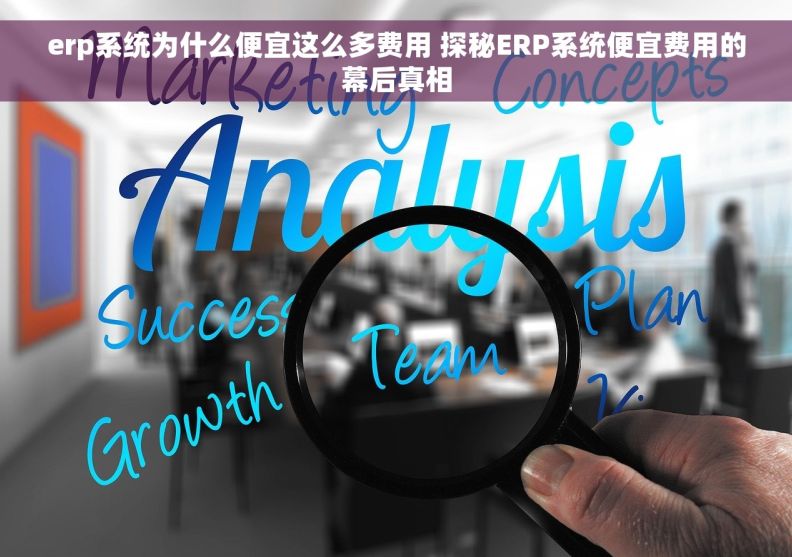erp系统为什么便宜这么多费用 探秘ERP系统便宜费用的幕后真相