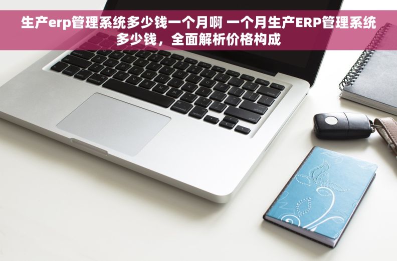 生产erp管理系统多少钱一个月啊 一个月生产ERP管理系统多少钱，全面解析价格构成