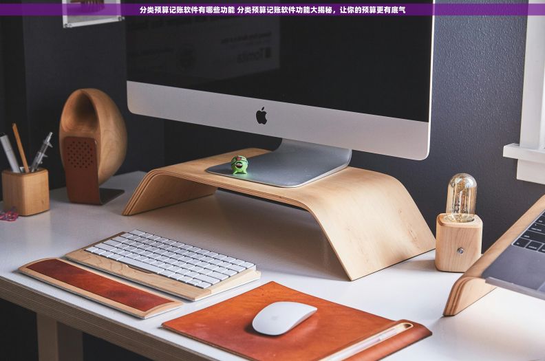 分类预算记账软件有哪些功能 分类预算记账软件功能大揭秘，让你的预算更有底气