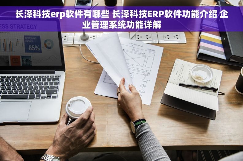 长泽科技erp软件有哪些 长泽科技ERP软件功能介绍 企业管理系统功能详解