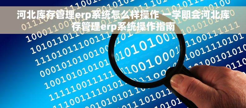 河北库存管理erp系统怎么样操作 一学即会河北库存管理erp系统操作指南