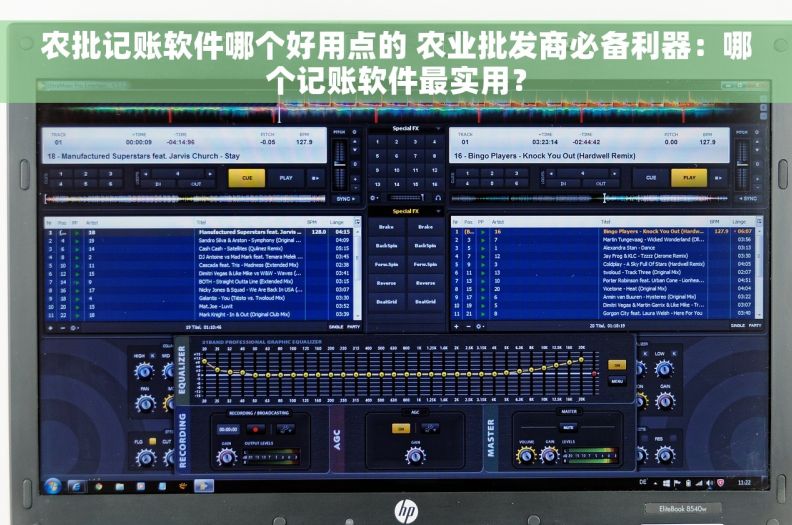 农批记账软件哪个好用点的 农业批发商必备利器：哪个记账软件最实用？