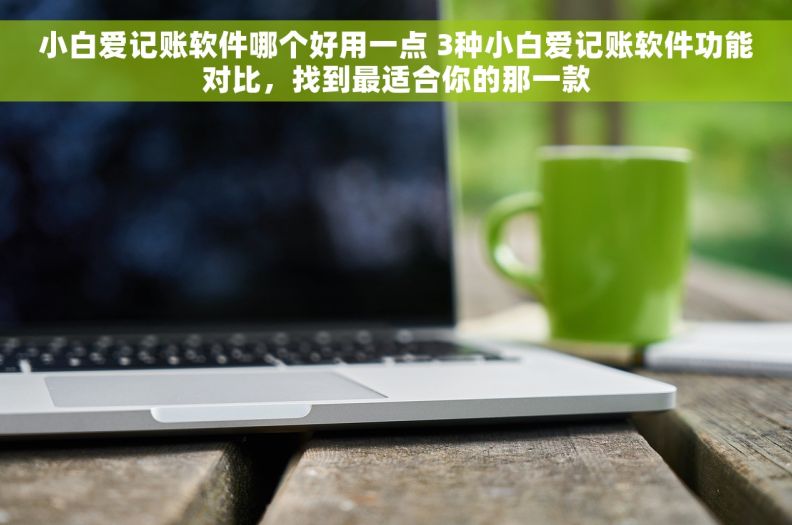 小白爱记账软件哪个好用一点 3种小白爱记账软件功能对比，找到最适合你的那一款