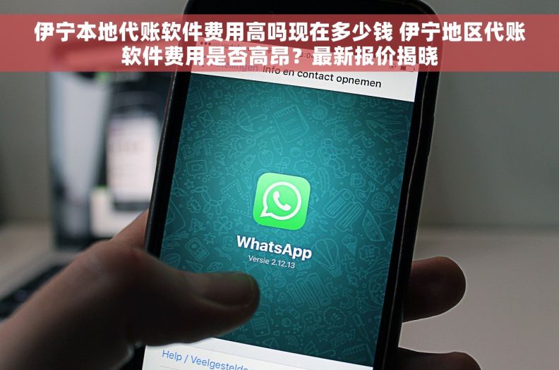 伊宁本地代账软件费用高吗现在多少钱 伊宁地区代账软件费用是否高昂？最新报价揭晓