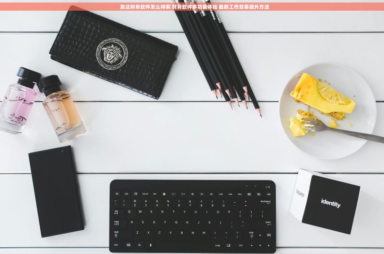     友达财务软件怎么样啊 财务软件多功能体验 最新工作效率提升方法