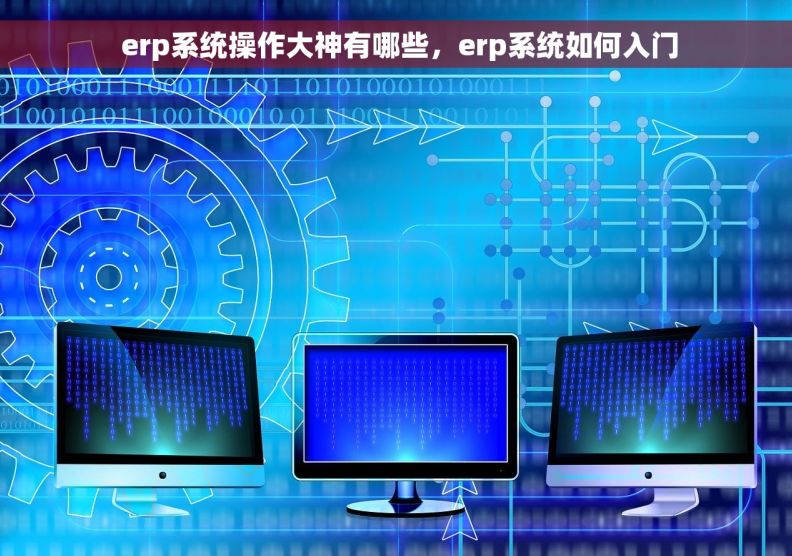  erp系统操作大神有哪些，erp系统如何入门