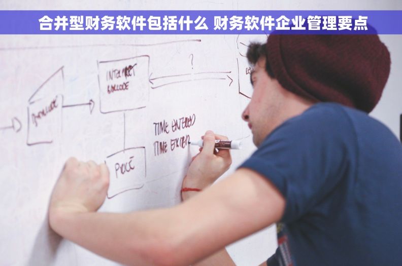  合并型财务软件包括什么 财务软件企业管理要点
