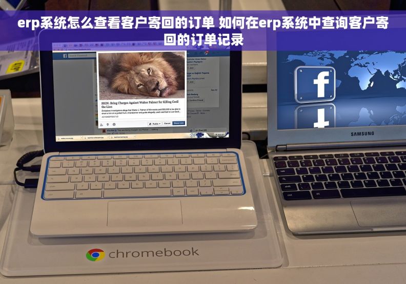 erp系统怎么查看客户寄回的订单 如何在erp系统中查询客户寄回的订单记录
