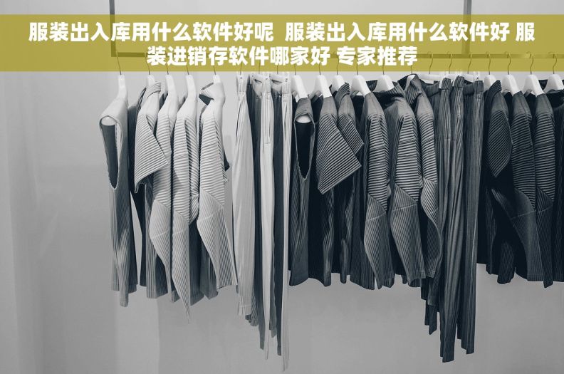 服装出入库用什么软件好呢  服装出入库用什么软件好 服装进销存软件哪家好 专家推荐