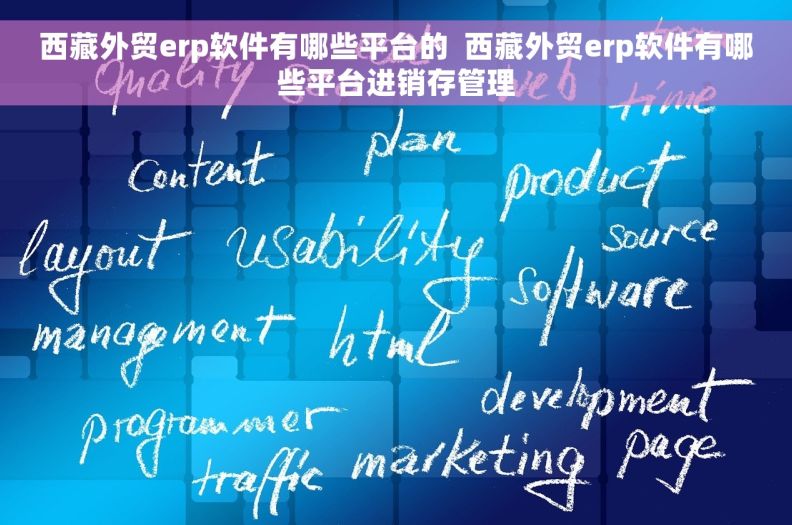 西藏外贸erp软件有哪些平台的  西藏外贸erp软件有哪些平台进销存管理