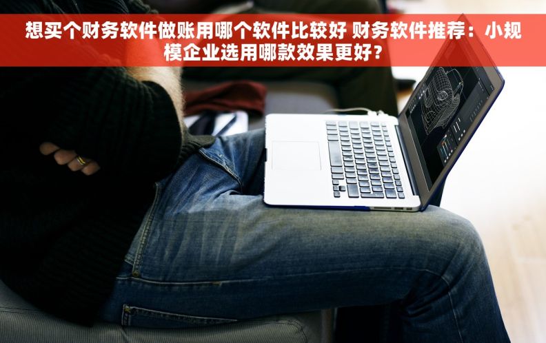 想买个财务软件做账用哪个软件比较好 财务软件推荐：小规模企业选用哪款效果更好？