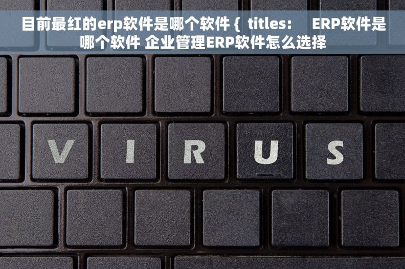 目前最红的erp软件是哪个软件 {  titles:     ERP软件是哪个软件 企业管理ERP软件怎么选择