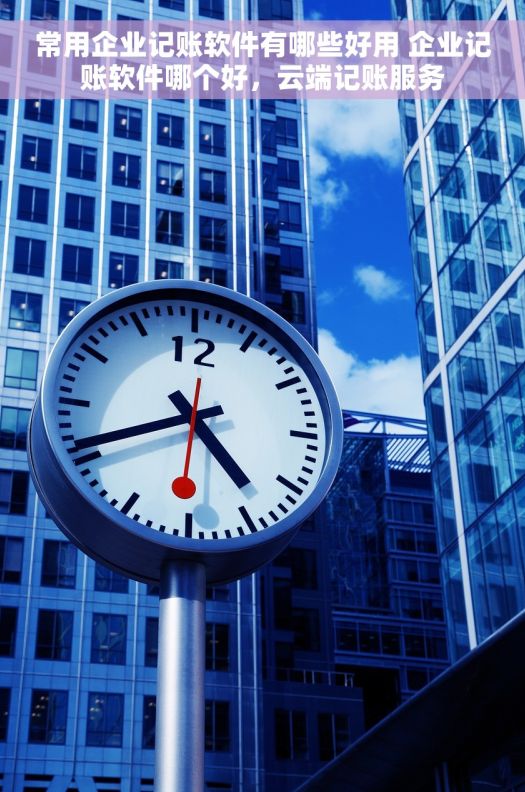 常用企业记账软件有哪些好用 企业记账软件哪个好，云端记账服务