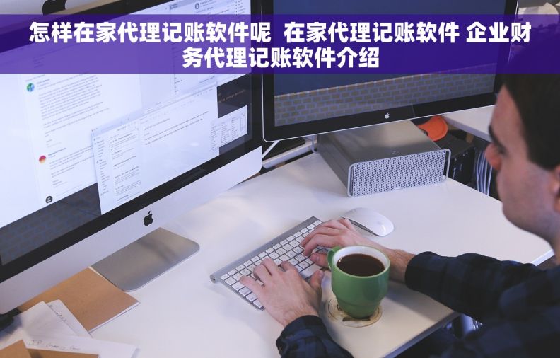 怎样在家代理记账软件呢  在家代理记账软件 企业财务代理记账软件介绍