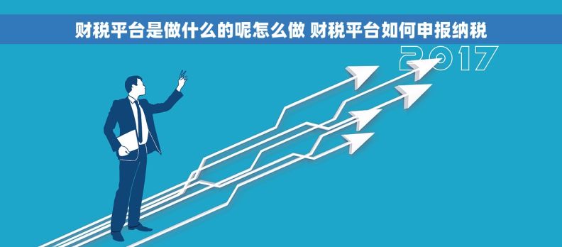 财税平台是做什么的呢怎么做 财税平台如何申报纳税