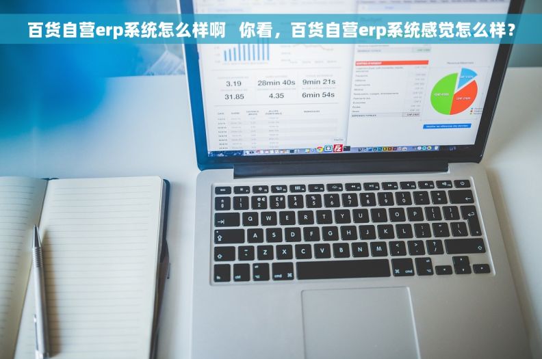 百货自营erp系统怎么样啊   你看，百货自营erp系统感觉怎么样？