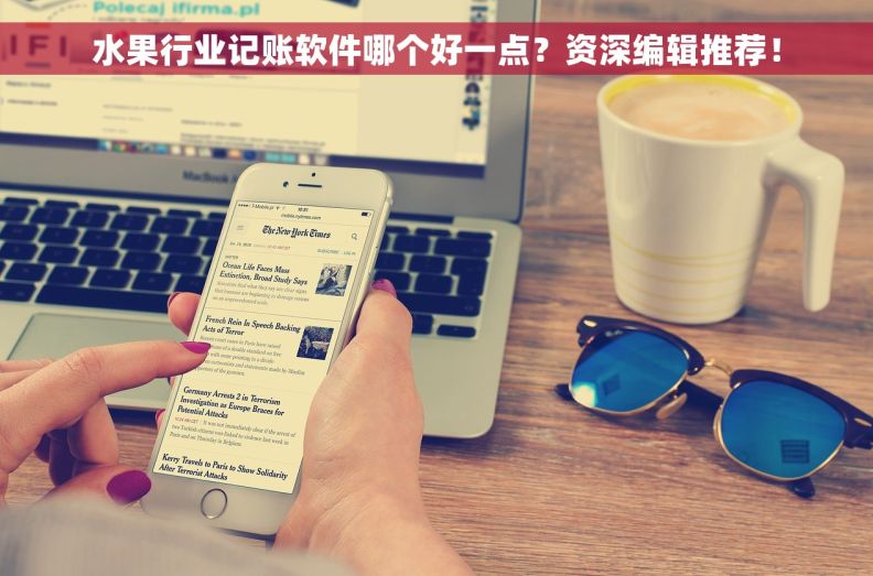 水果行业记账软件哪个好一点？资深编辑推荐！