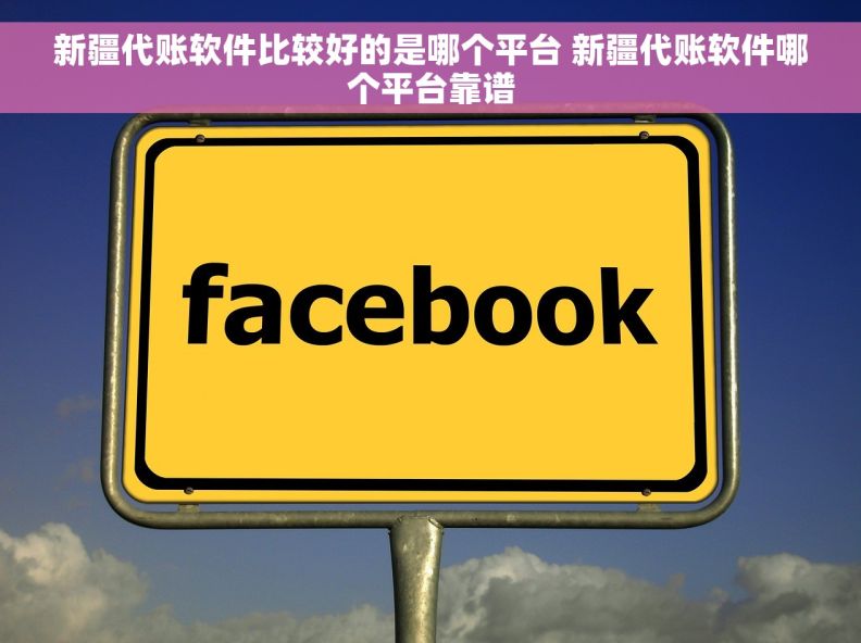 新疆代账软件比较好的是哪个平台 新疆代账软件哪个平台靠谱