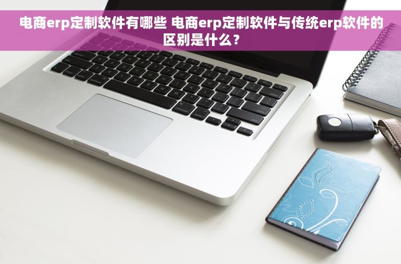 电商erp定制软件有哪些 电商erp定制软件与传统erp软件的区别是什么？