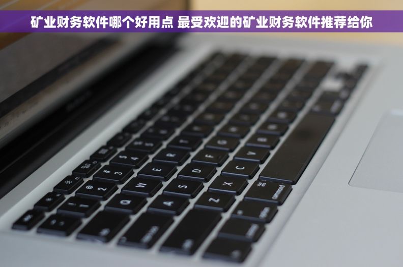 矿业财务软件哪个好用点 最受欢迎的矿业财务软件推荐给你