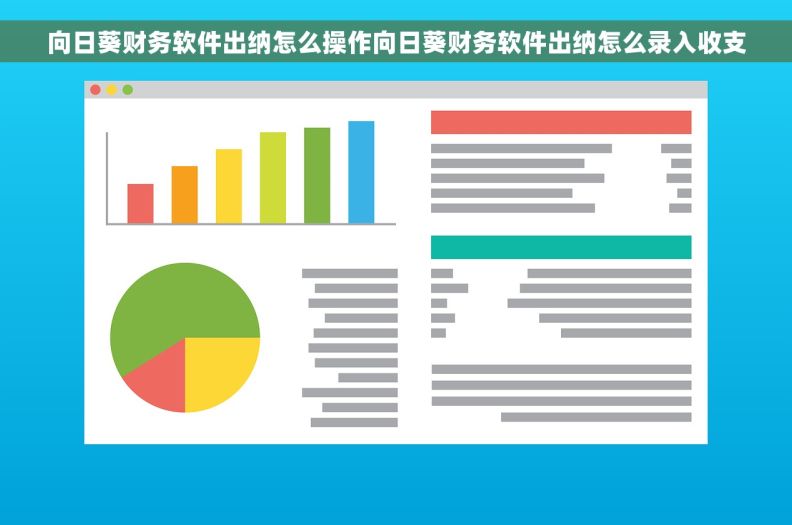 向日葵财务软件出纳怎么操作向日葵财务软件出纳怎么录入收支