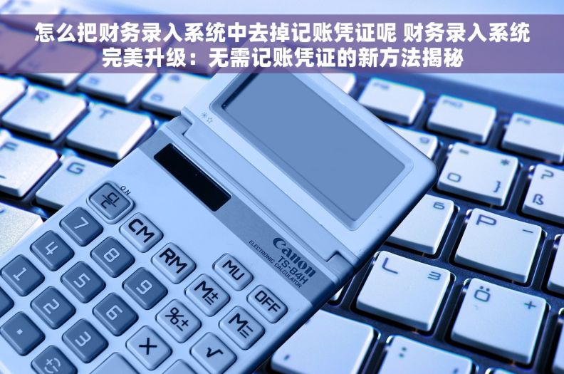 怎么把财务录入系统中去掉记账凭证呢 财务录入系统完美升级：无需记账凭证的新方法揭秘