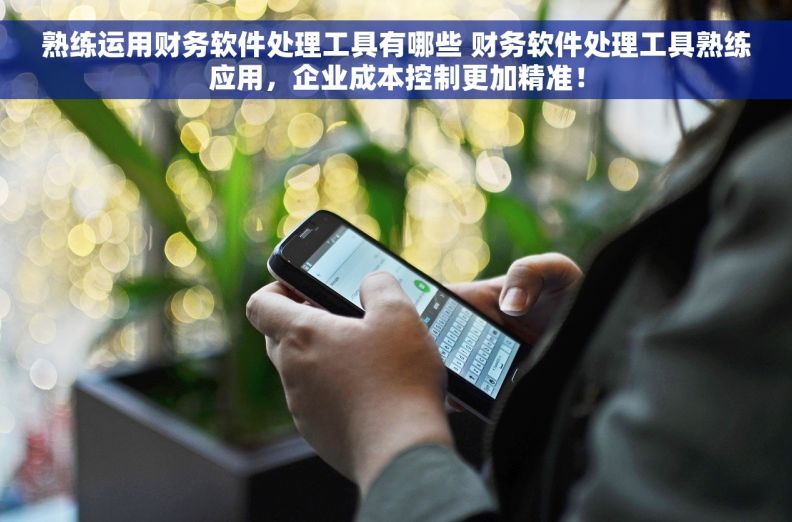 熟练运用财务软件处理工具有哪些 财务软件处理工具熟练应用，企业成本控制更加精准！