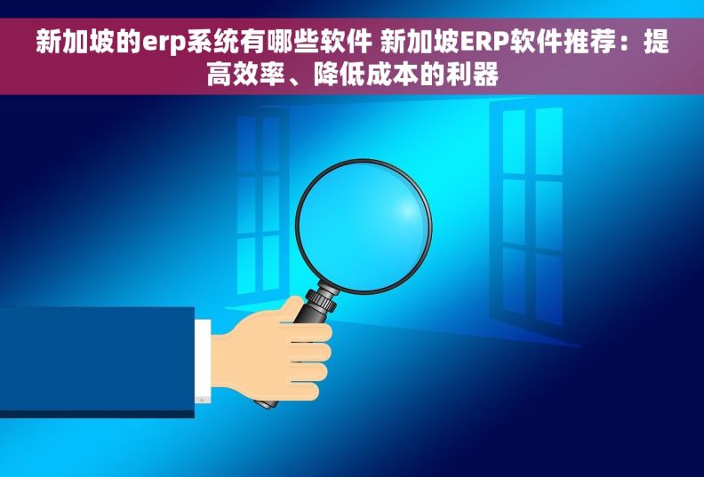 新加坡的erp系统有哪些软件 新加坡ERP软件推荐：提高效率、降低成本的利器