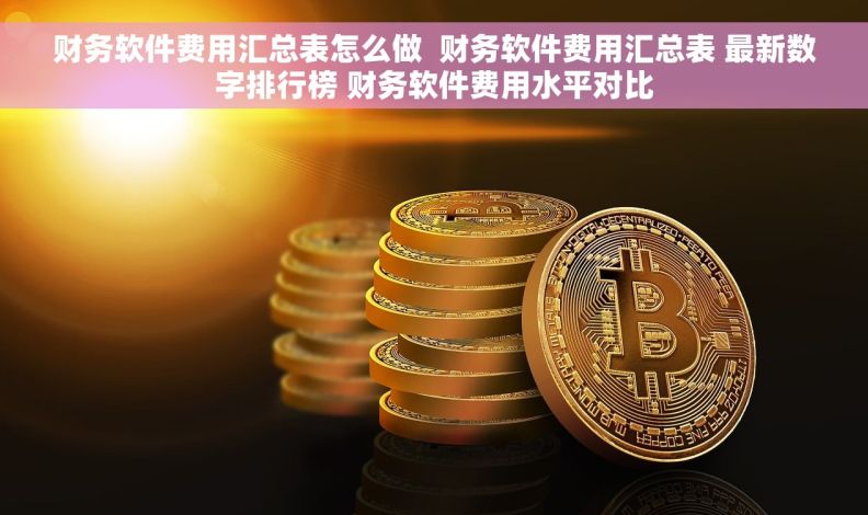 财务软件费用汇总表怎么做  财务软件费用汇总表 最新数字排行榜 财务软件费用水平对比