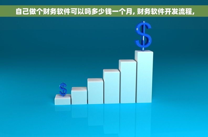  自己做个财务软件可以吗多少钱一个月, 财务软件开发流程,