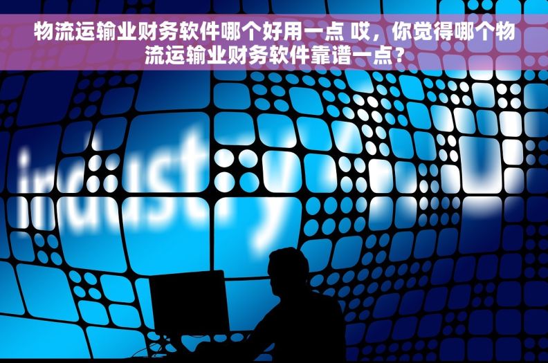 物流运输业财务软件哪个好用一点 哎，你觉得哪个物流运输业财务软件靠谱一点？