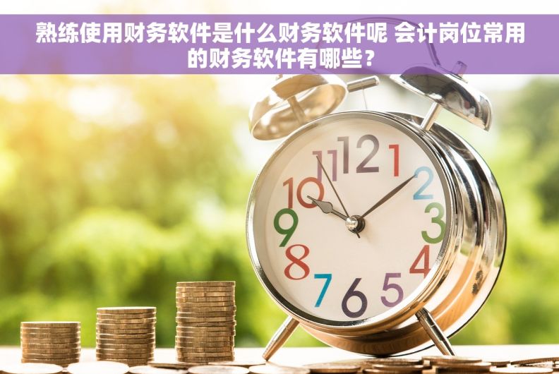 熟练使用财务软件是什么财务软件呢 会计岗位常用的财务软件有哪些？