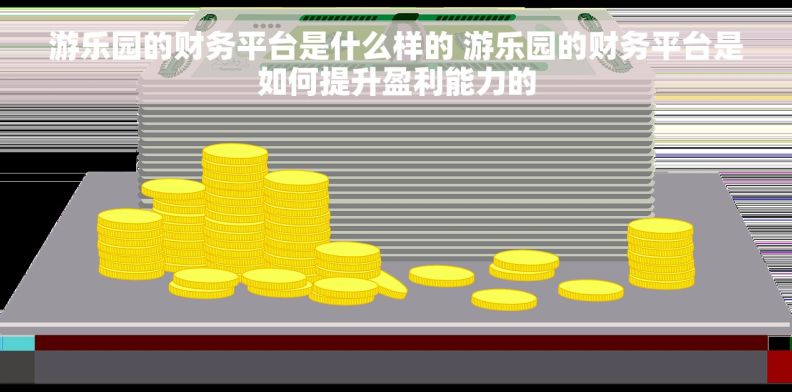 游乐园的财务平台是什么样的 游乐园的财务平台是如何提升盈利能力的