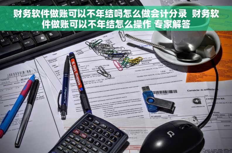 财务软件做账可以不年结吗怎么做会计分录  财务软件做账可以不年结怎么操作 专家解答