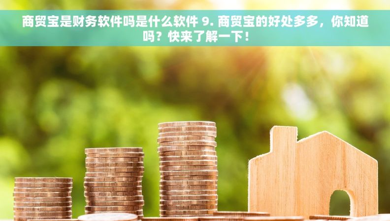 商贸宝是财务软件吗是什么软件 9. 商贸宝的好处多多，你知道吗？快来了解一下！
