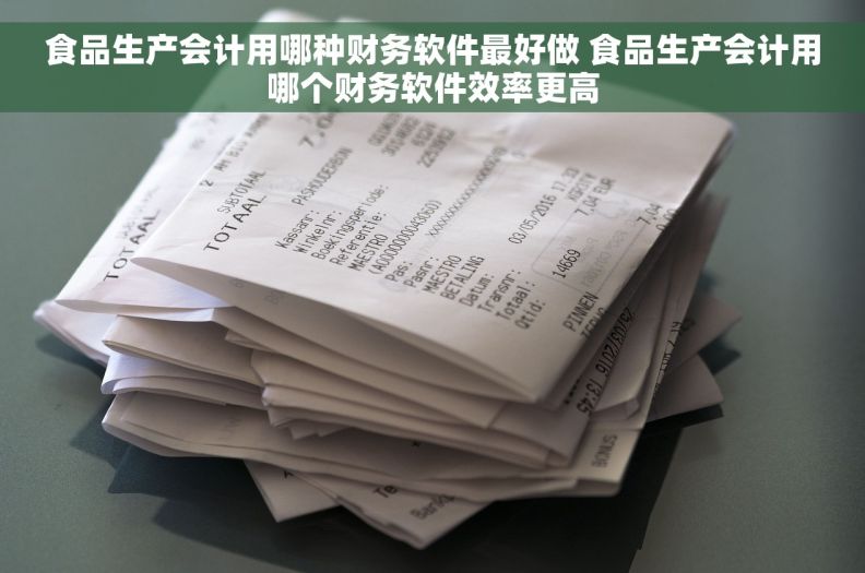 食品生产会计用哪种财务软件最好做 食品生产会计用哪个财务软件效率更高