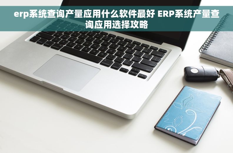 erp系统查询产量应用什么软件最好 ERP系统产量查询应用选择攻略