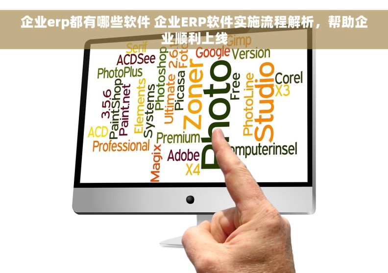 企业erp都有哪些软件 企业ERP软件实施流程解析，帮助企业顺利上线