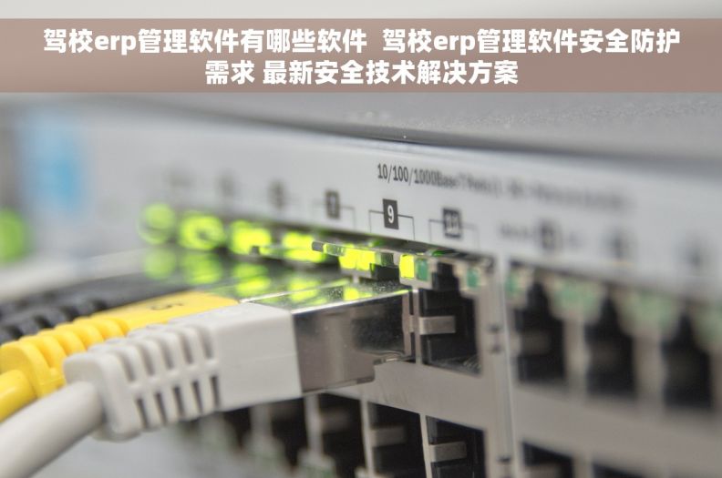 驾校erp管理软件有哪些软件  驾校erp管理软件安全防护需求 最新安全技术解决方案