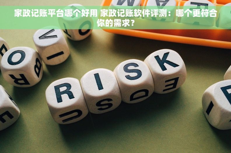 家政记账平台哪个好用 家政记账软件评测：哪个更符合你的需求？