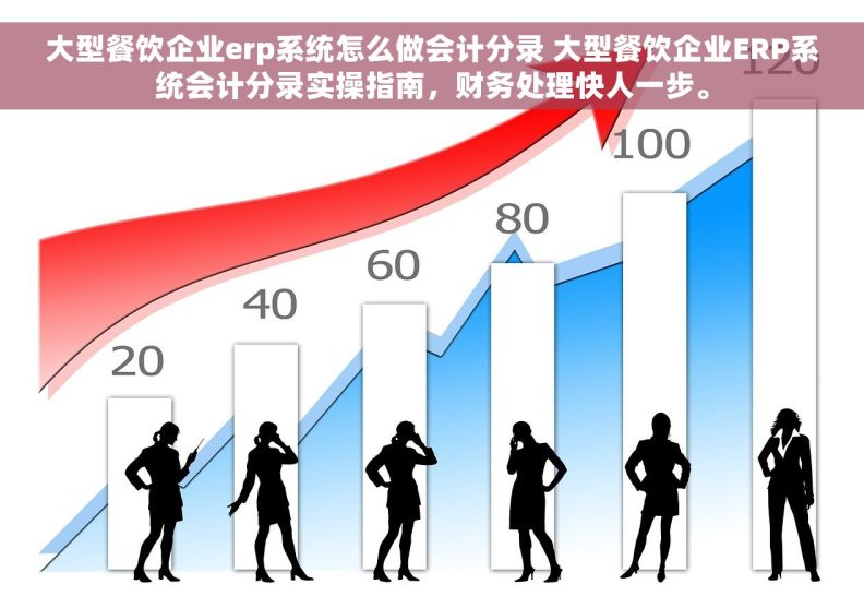 大型餐饮企业erp系统怎么做会计分录 大型餐饮企业ERP系统会计分录实操指南，财务处理快人一步。
